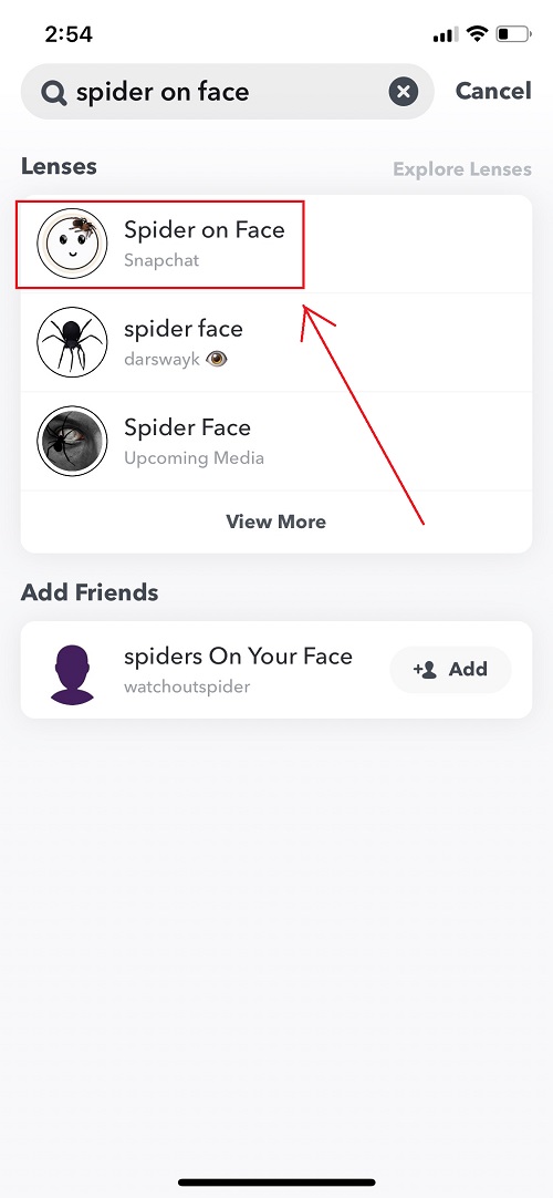 Spider on face filter app